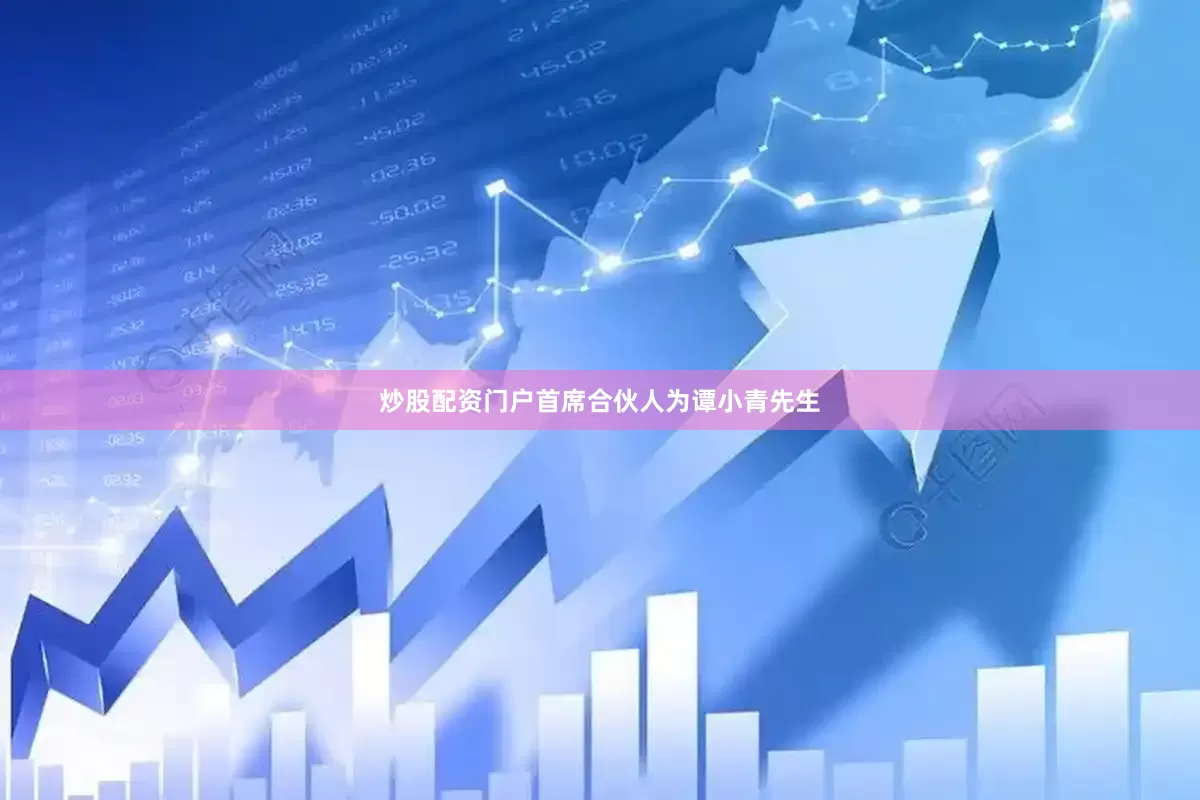 炒股配资门户首席合伙人为谭小青先生