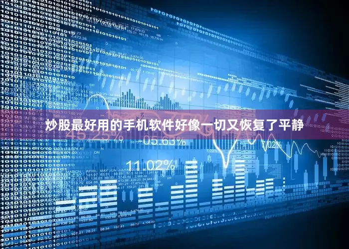 炒股最好用的手机软件好像一切又恢复了平静