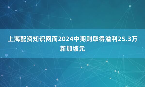 上海配资知识网而2024中期则取得溢利25.3万新加坡元