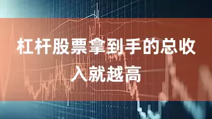 杠杆股票拿到手的总收入就越高