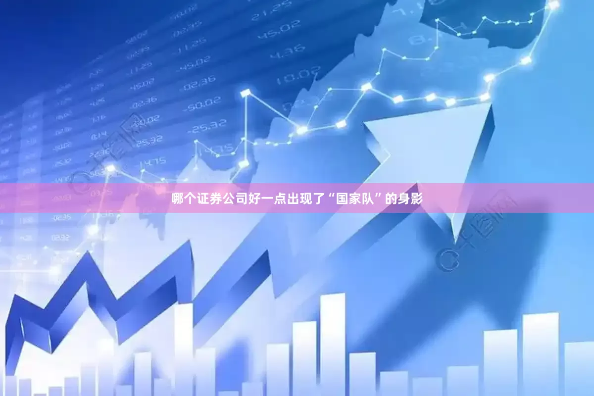 哪个证券公司好一点出现了“国家队”的身影